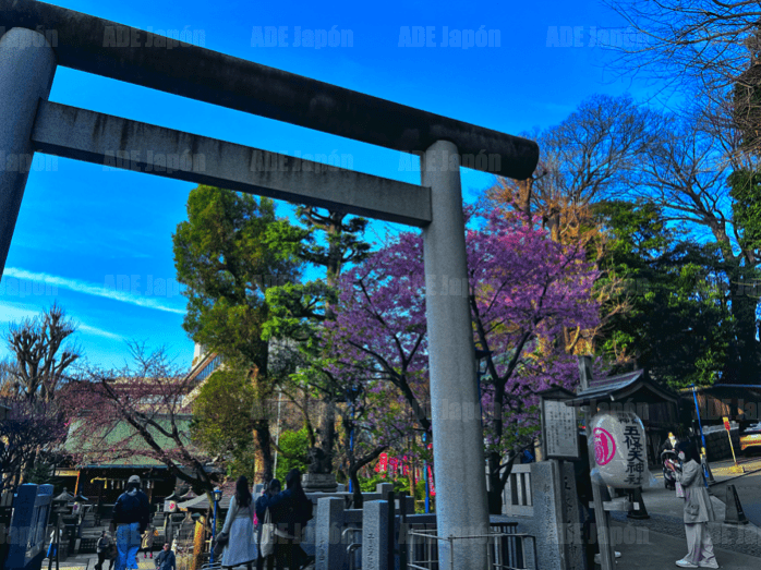 Temporada de sakuras en Tokio, foto por ADE Japón